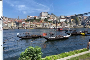 Best of Porto - Private Tour from Lisbon