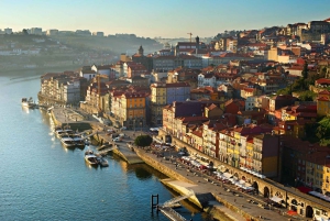 Best of Porto - Private Tour from Lisbon