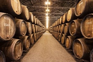 Il meglio di Porto: Tour privato a piedi con un abitante del posto