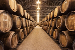 ポルトのベスト：地元のガイドと行くプライベートウォーキングツアー