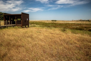 Den beste utsikten til Porto fra Gaia. VW Kombi-tur med cocktail