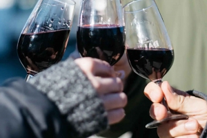 Bike & Bites – oryginalna wycieczka rowerowa po Porto