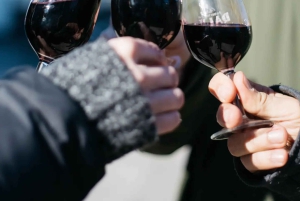 Bike & Bites - оригинальный велосипедный тур по Порту