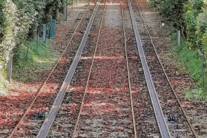 Visita Histórica y Cultural de Braga y Guimarães desde Oporto