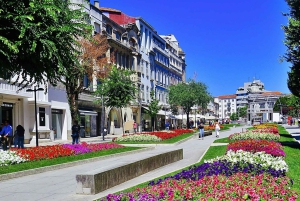 BRAGA E GUIMARÃES: Historisk privat tur fra Porto