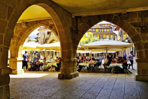 BRAGA E GUIMARÃES: Historical Private Tour from Porto