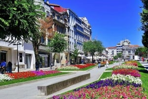 BRAGA E GUIMARÃES: Historical Private Tour from Porto