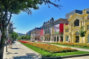 BRAGA E GUIMARÃES: Historical Private Tour from Porto