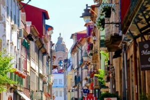 Bragan ja Guimarãesin päiväretki Portosta, pieni ryhmä 8 h, paikallinen opas