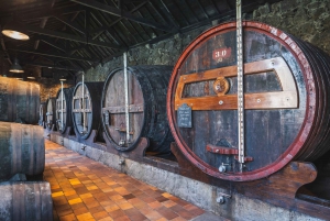 Tour della cantina Burmester