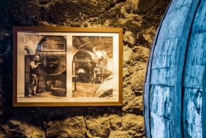 Tour della cantina Burmester