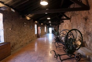 Tour della cantina Burmester