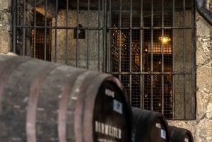 Tour della cantina Burmester