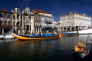 Coimbra & Aveiro Experience: From Porto All-Included
