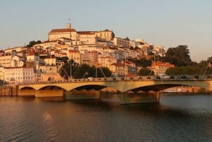 Coimbra & Aveiro Experience: From Porto All-Included