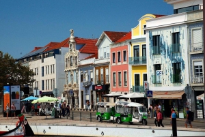 Coimbra & Aveiro Experience: From Porto All-Included