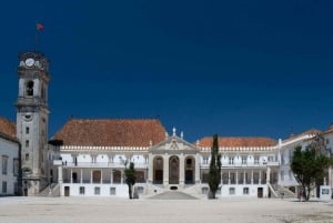Coimbra & Aveiro Experience: From Porto All-Included