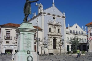 Coimbra & Aveiro Experience: From Porto All-Included
