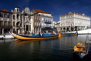 Coimbra & Aveiro Experience: From Porto All-Included