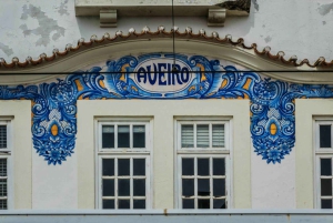 Tour privato di Coimbra e Aveiro - Esperienza personalizzabile