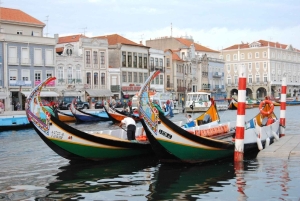 Privat tur till Coimbra och Aveiro – anpassningsbar upplevelse