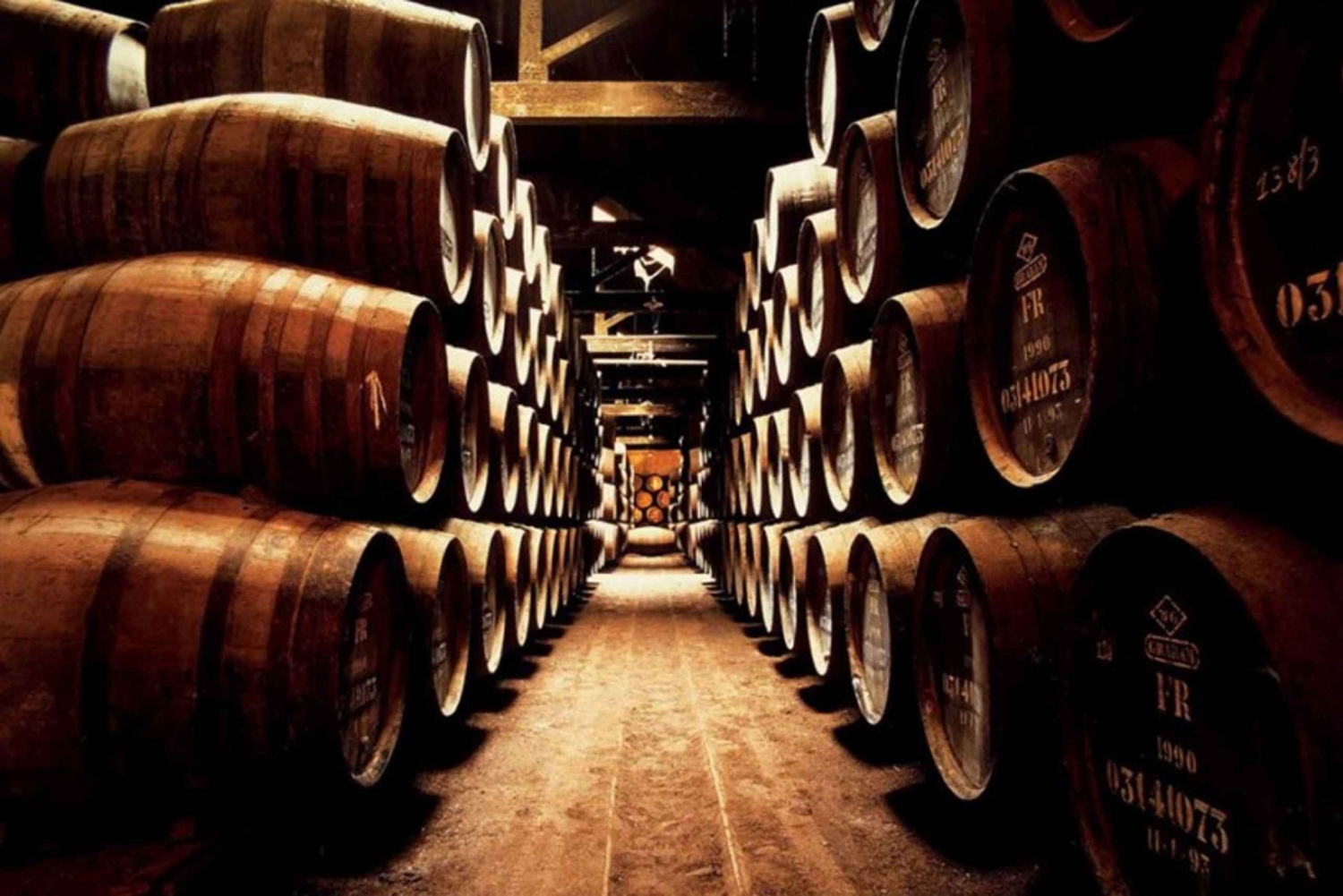 Combo: Tour di mezza giornata della città di Porto e tour di mezza giornata di Aveiro