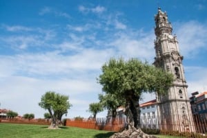 Комбо: экскурсия на полдня по Порту и экскурсия на полдня по Авейру