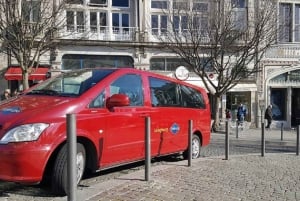 Комбо: экскурсия на полдня по Порту и экскурсия на полдня по Авейру