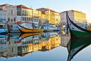 Комбо: экскурсия на полдня по Порту и экскурсия на полдня по Авейру