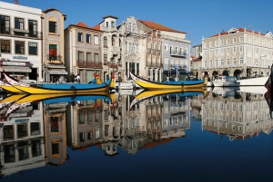 Combo: Tour di mezza giornata della città di Porto e tour di mezza giornata di Aveiro