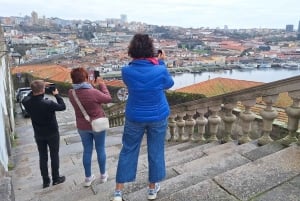 Ganztagestour durch Porto nach deinen Wünschen: Wähle dein Erlebnis