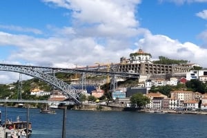 Ganztagestour durch Porto nach deinen Wünschen: Wähle dein Erlebnis