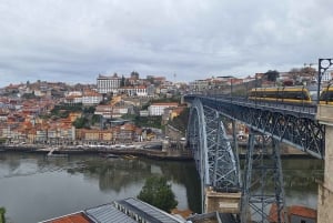 Ganztagestour durch Porto nach deinen Wünschen: Wähle dein Erlebnis