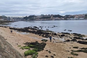Ganztagestour durch Porto nach deinen Wünschen: Wähle dein Erlebnis