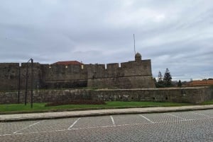 Ganztagestour durch Porto nach deinen Wünschen: Wähle dein Erlebnis