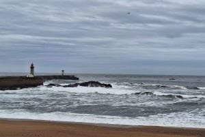 Ganztagestour durch Porto nach deinen Wünschen: Wähle dein Erlebnis