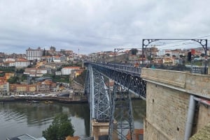 Ganztagestour durch Porto nach deinen Wünschen: Wähle dein Erlebnis