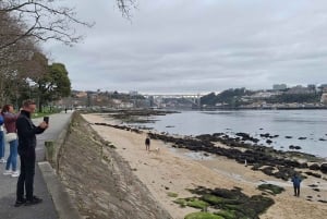 Ganztagestour durch Porto nach deinen Wünschen: Wähle dein Erlebnis