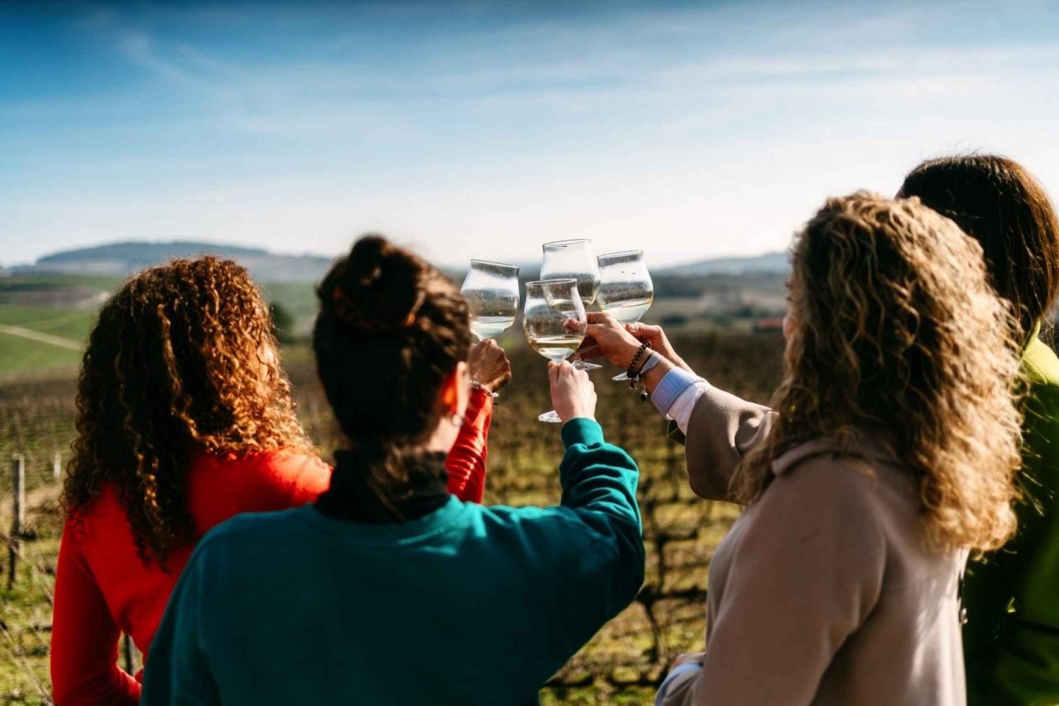 Porto: Douro Valley Tour with 2 Wineries, Lunch and Cruise