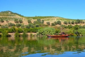 Порту: Тур по долине Дору с 2 винодельнями, обедом и круизом