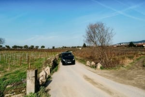 Порту: Тур по долине Дору с 2 винодельнями, обедом и круизом