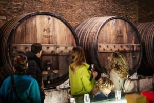 Порту: Тур по долине Дору с 2 винодельнями, обедом и круизом