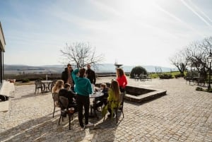 Порту: Тур по долине Дору с 2 винодельнями, обедом и круизом