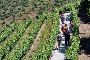 Порту: Тур по долине Дору с 2 винодельнями, обедом и круизом