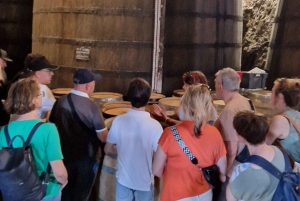 Порту: Тур по долине Дору с 2 винодельнями, обедом и круизом