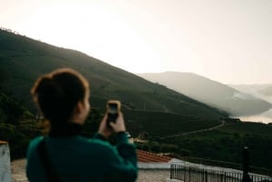 Порту: Тур по долине Дору с 2 винодельнями, обедом и круизом