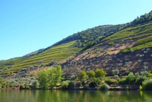 Порту: Тур по долине Дору с 2 винодельнями, обедом и круизом