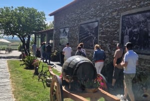 Порту: Тур по долине Дору с 2 винодельнями, обедом и круизом