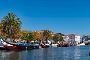Wycieczka Porto-Aveiro/Costa Nova | pół dnia w portugalskiej Wenecji