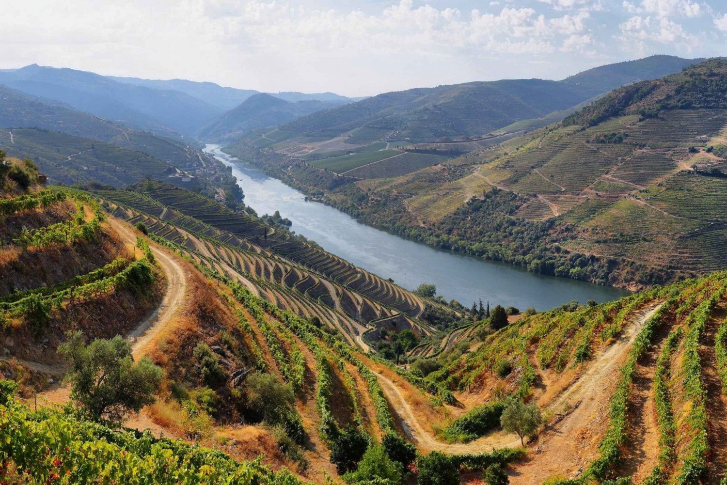 Visite de la vallée de Porto Douro | La richesse du vin | TOUT COMPRIS.